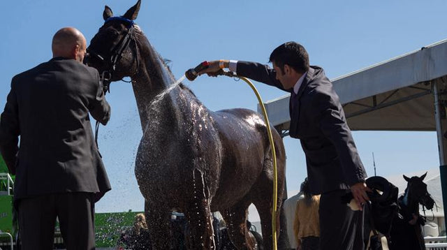 What To Wear To The Investec Derby with Grey Fox