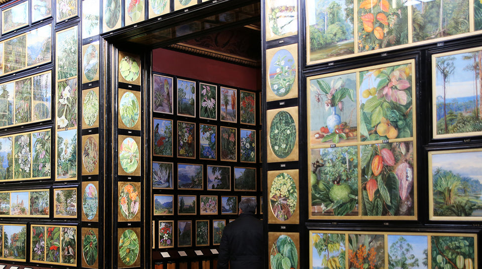 Kew Gardens: Marianne North