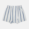 Blue Blazer Stripe Godfrey Boxer Shorts