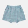 Pale Blue And Green  Multi Check Godfrey Boxer Shorts