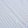 Blue and Burgundy Multi-Stripe Westminster Shirt