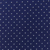 Blue and White Small Spot Printed Silk Tie