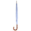 Light Blue Umbrella with Chestnut Crook